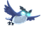 闪枭